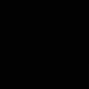 Meet your Posher, Ricky